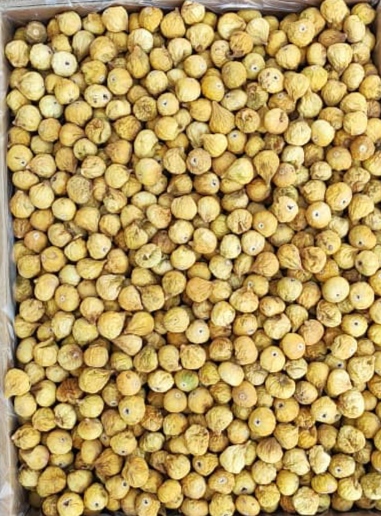 فروش ویژه انجیر خشک زرد ریز (A) با بالاترین کیفیت